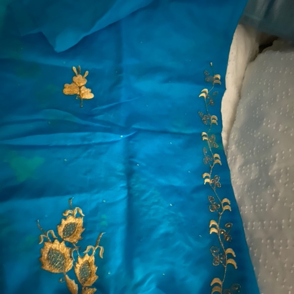 Saree  - turquoise with gold embossing - Picture 5 of 5